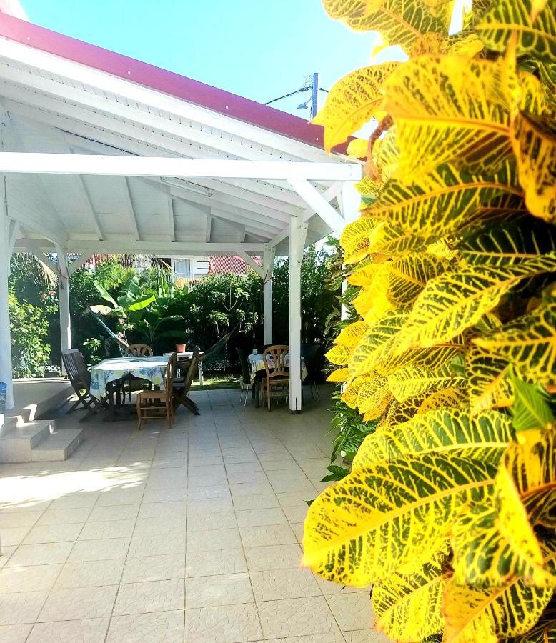 Studio 1 - Grande Anse - 4 Pers - Proche Bourg Terre-De-Haut Exterior foto