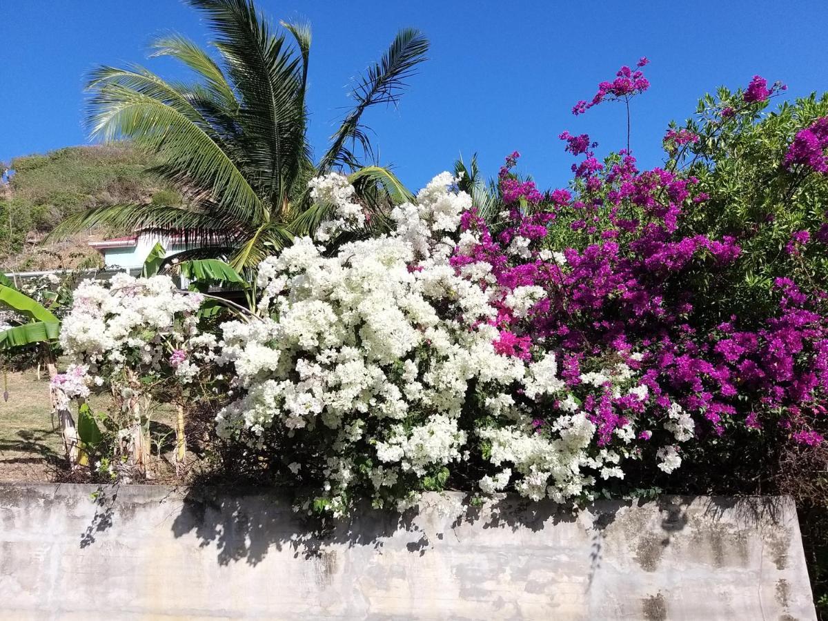 Studio 1 - Grande Anse - 4 Pers - Proche Bourg Terre-De-Haut Exterior foto